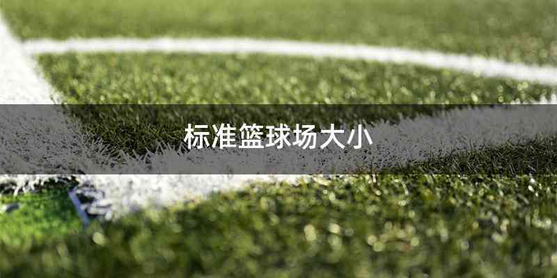 标准篮球场大小