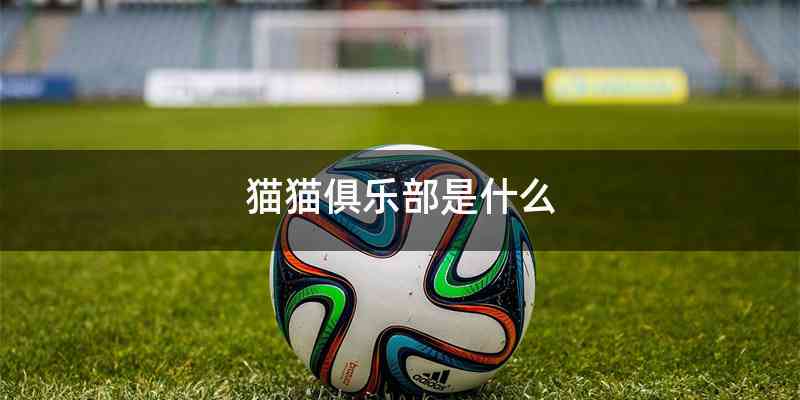 猫猫俱乐部是什么