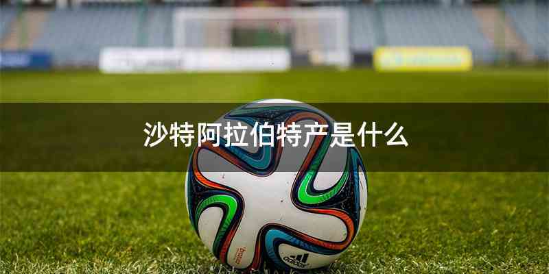沙特阿拉伯特产是什么