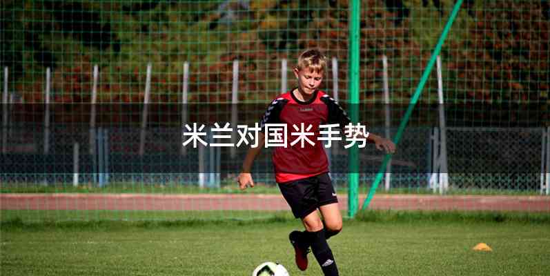 米兰对国米手势