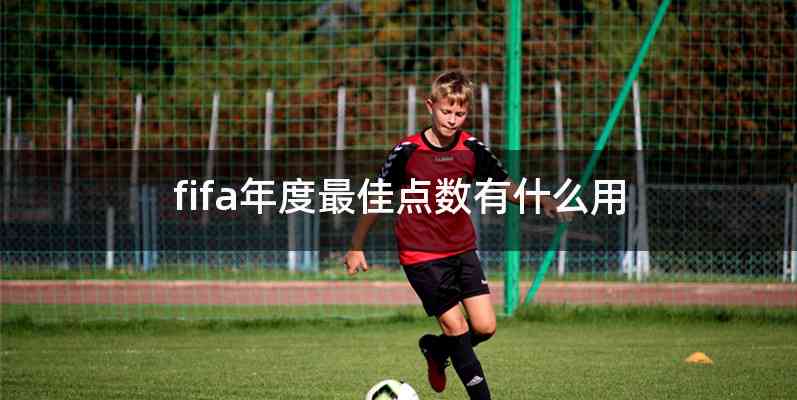 fifa年度最佳点数有什么用