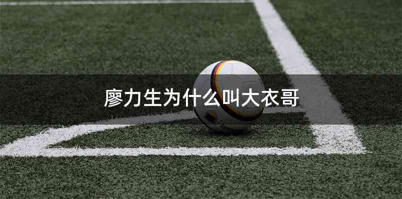 廖力生为什么叫大衣哥