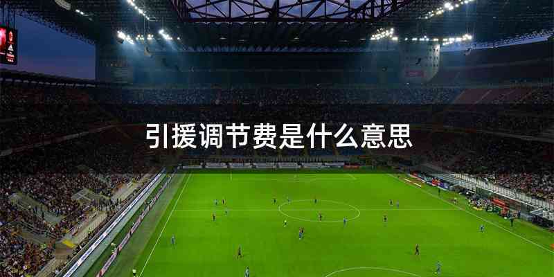 引援调节费是什么意思