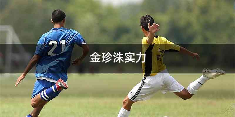 金珍洙实力