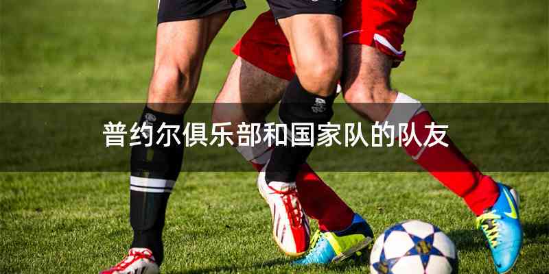 普约尔俱乐部和国家队的队友