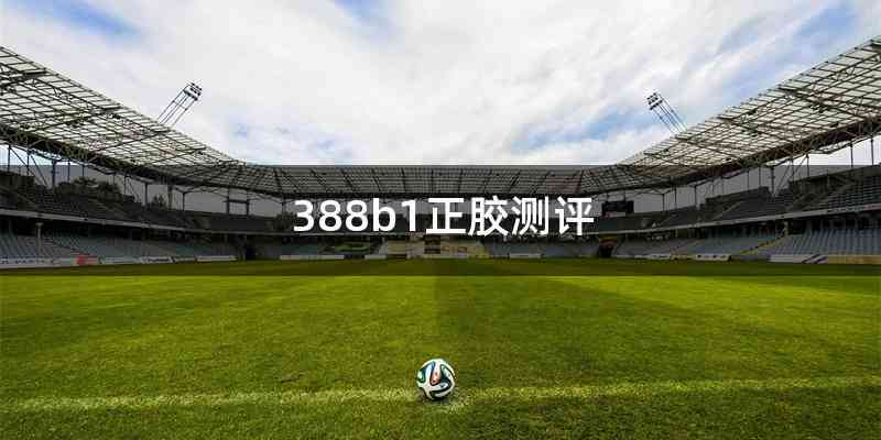 388b1正胶测评
