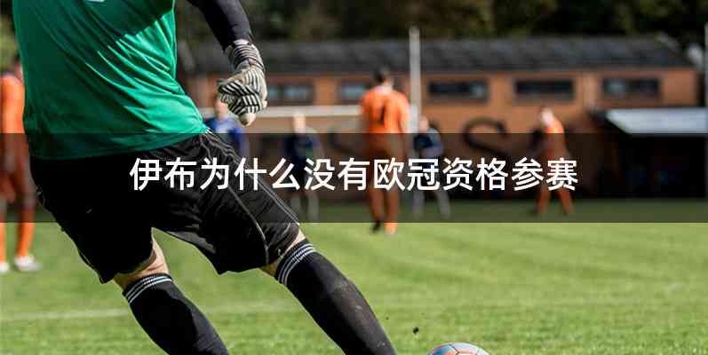 伊布为什么没有欧冠资格参赛