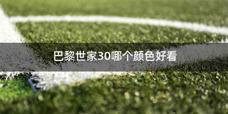 巴黎世家30哪个颜色好看