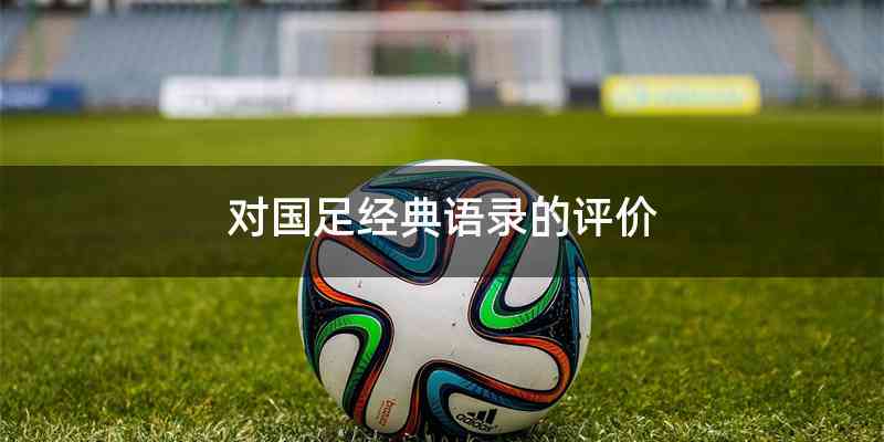 对国足经典语录的评价