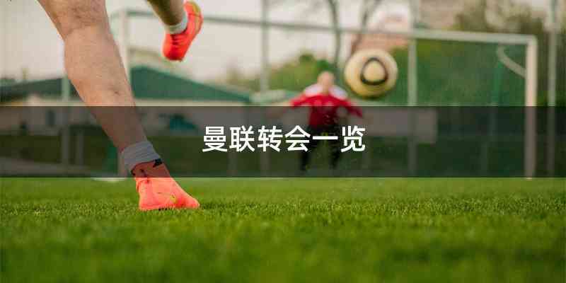 曼联转会一览