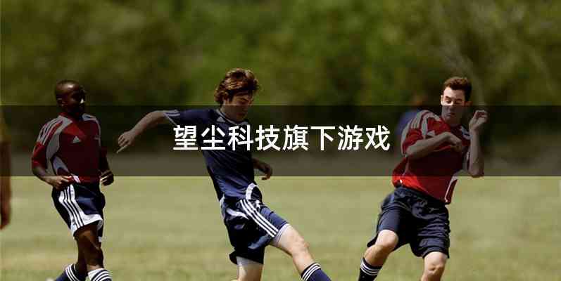 望尘科技旗下游戏