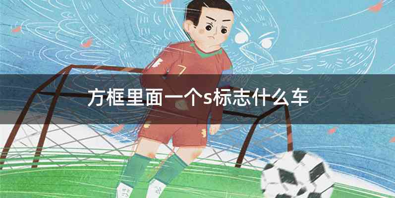 方框里面一个s标志什么车