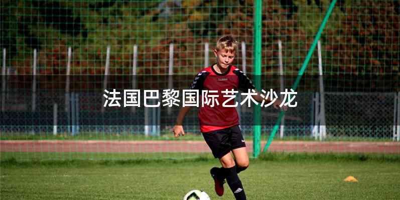 法国巴黎国际艺术沙龙