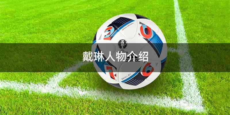 戴琳人物介绍
