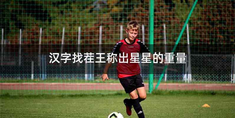 汉字找茬王称出星星的重量