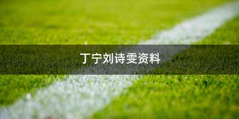丁宁刘诗雯资料