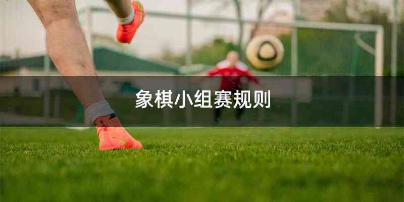 象棋小组赛规则