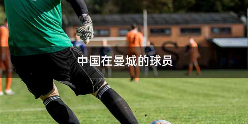 中国在曼城的球员