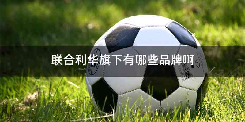 联合利华旗下有哪些品牌啊