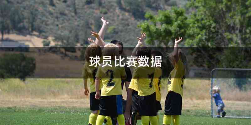 球员比赛数据
