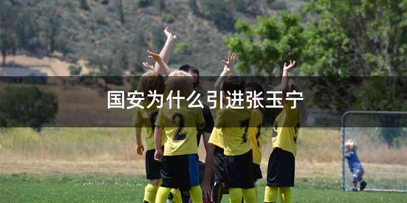 国安为什么引进张玉宁