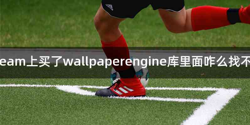 Steam上买了wallpaperengine库里面咋么找不到