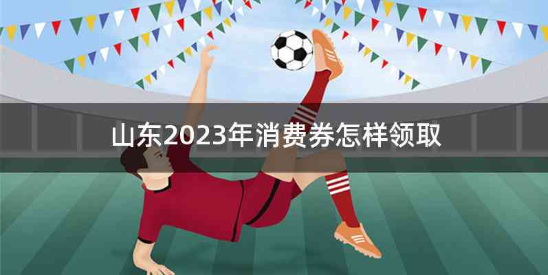 山东2023年消费券怎样领取