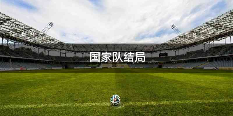 国家队结局