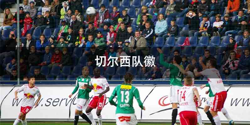 切尔西队徽