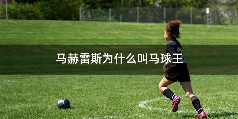 马赫雷斯为什么叫马球王