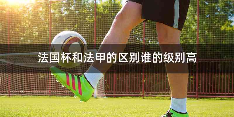 法国杯和法甲的区别谁的级别高