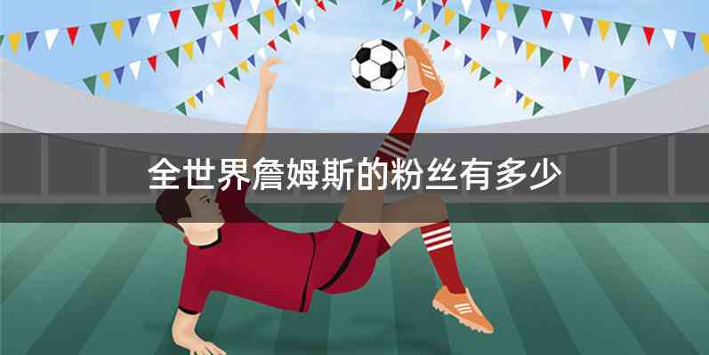 全世界詹姆斯的粉丝有多少