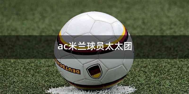 ac米兰球员太太团