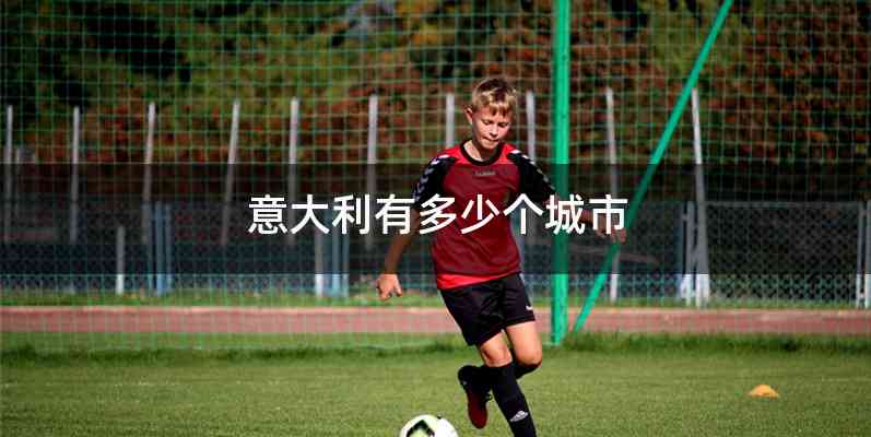 意大利有多少个城市
