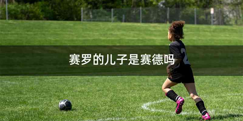 赛罗的儿子是赛德吗