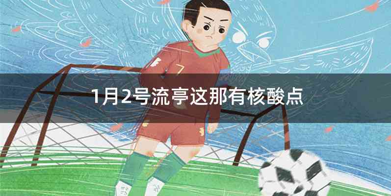 1月2号流亭这那有核酸点