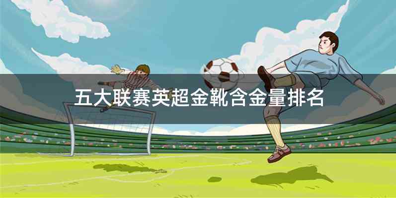 五大联赛英超金靴含金量排名