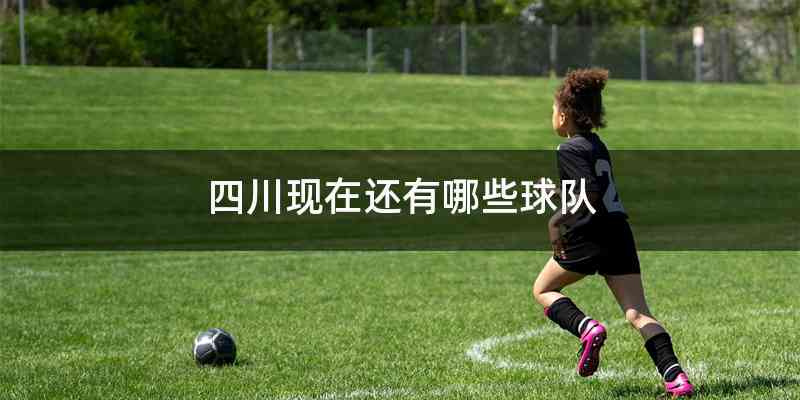 四川现在还有哪些球队