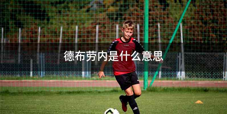 德布劳内是什么意思