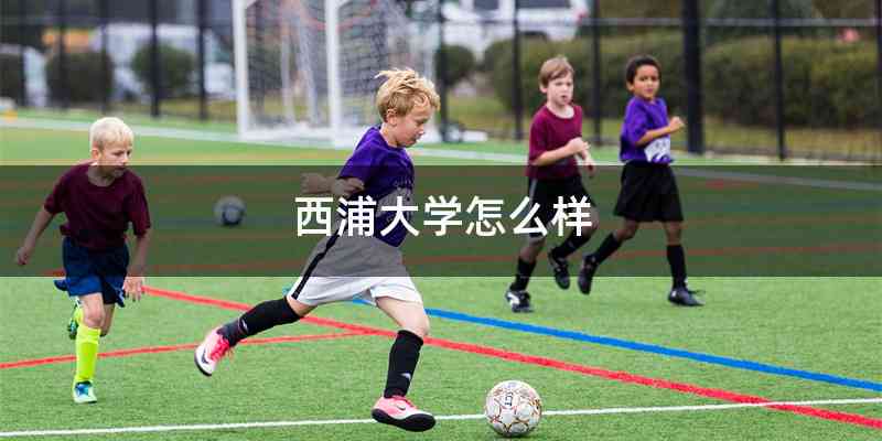 西浦大学怎么样