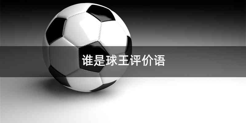 谁是球王评价语