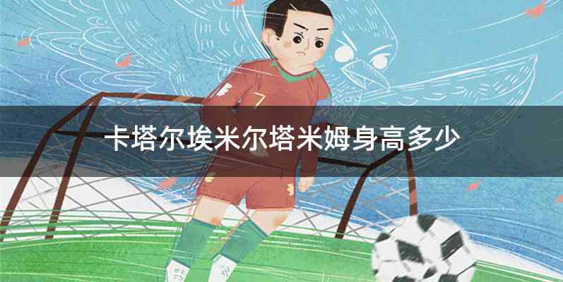 卡塔尔埃米尔塔米姆身高多少