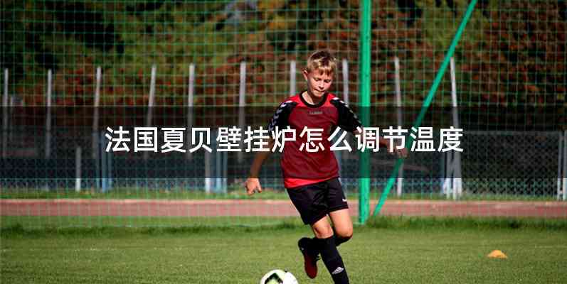 法国夏贝壁挂炉怎么调节温度