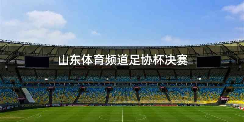山东体育频道足协杯决赛