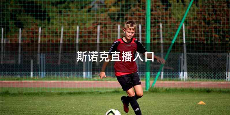 斯诺克直播入口