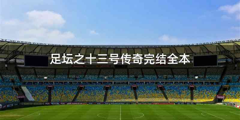 足坛之十三号传奇完结全本