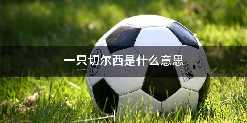 一只切尔西是什么意思