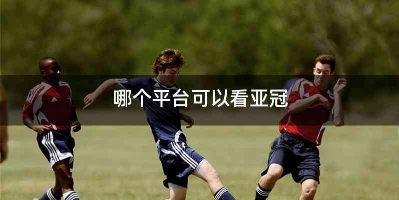 哪个平台可以看亚冠