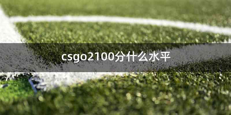 csgo2100分什么水平