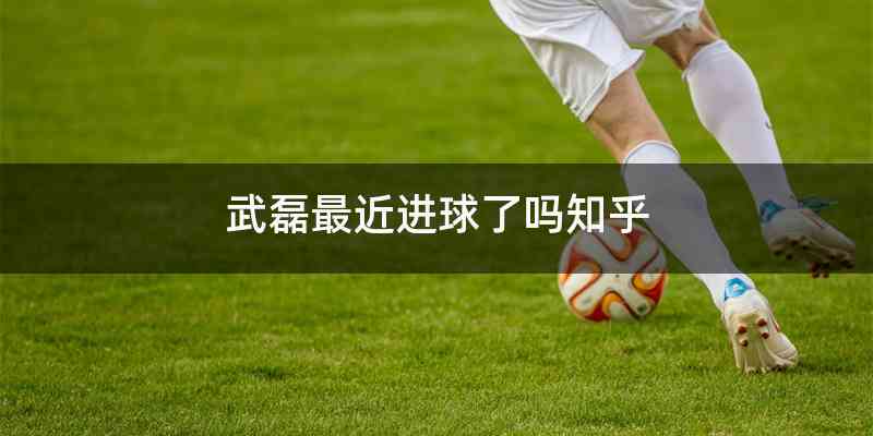 武磊最近进球了吗知乎